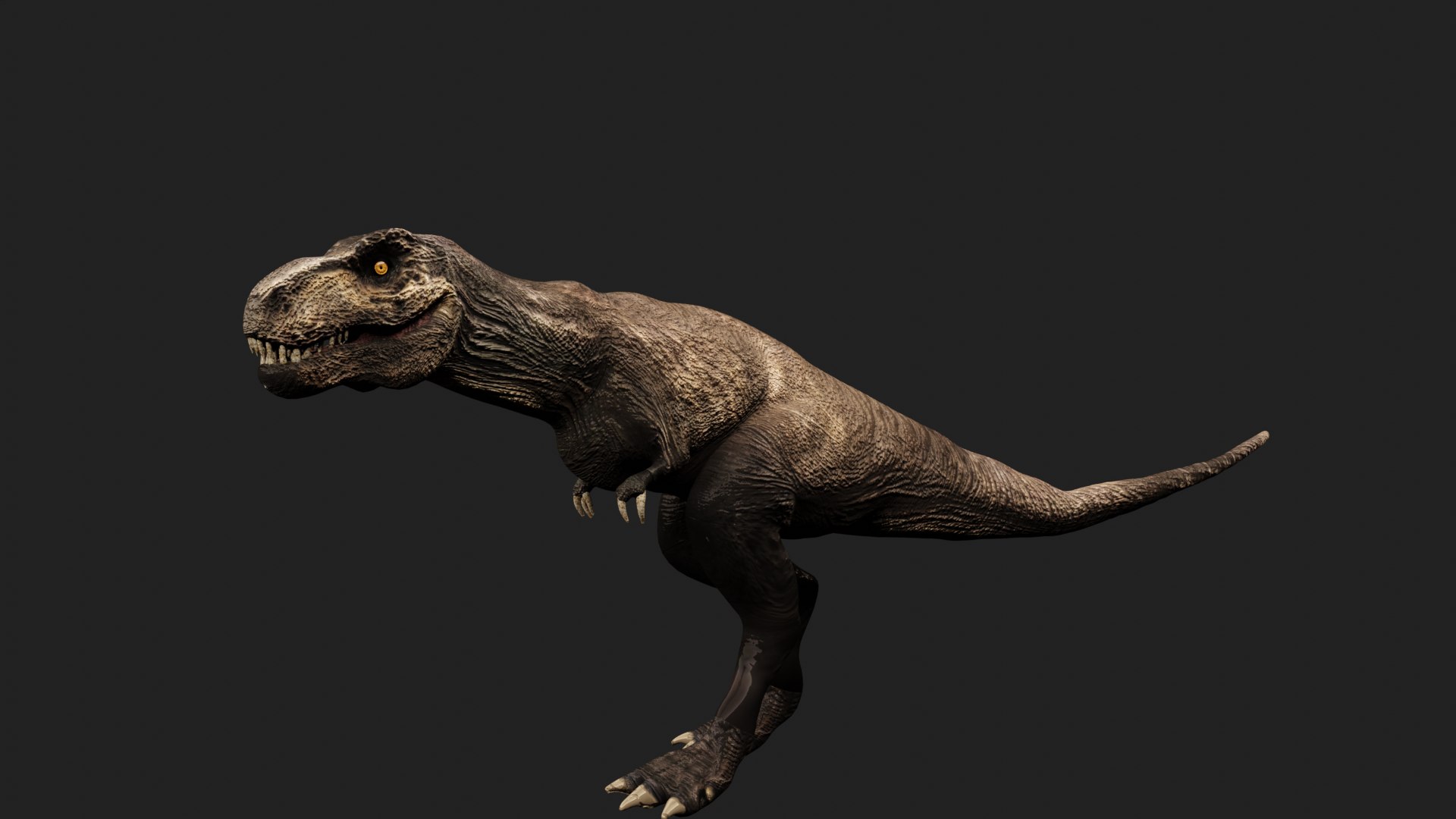 Tyrannosaurus Rex Animated Rigged D Turbosquid