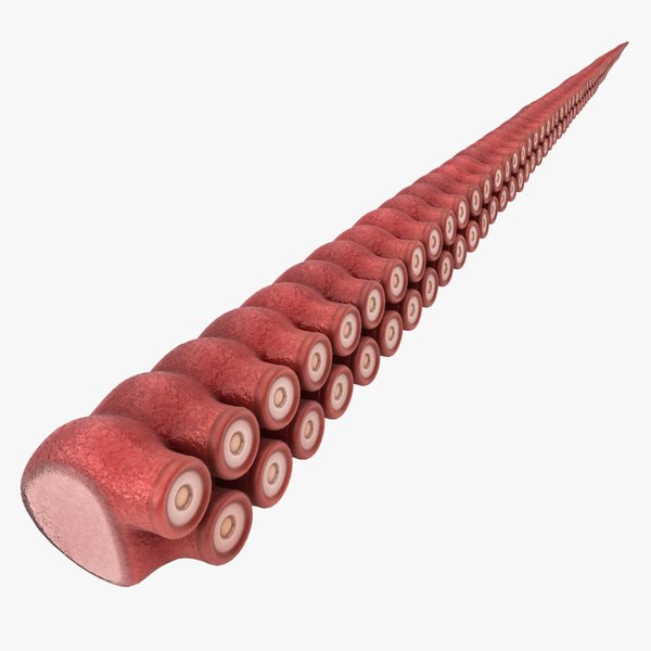 Фаллоимитатор Осьминог