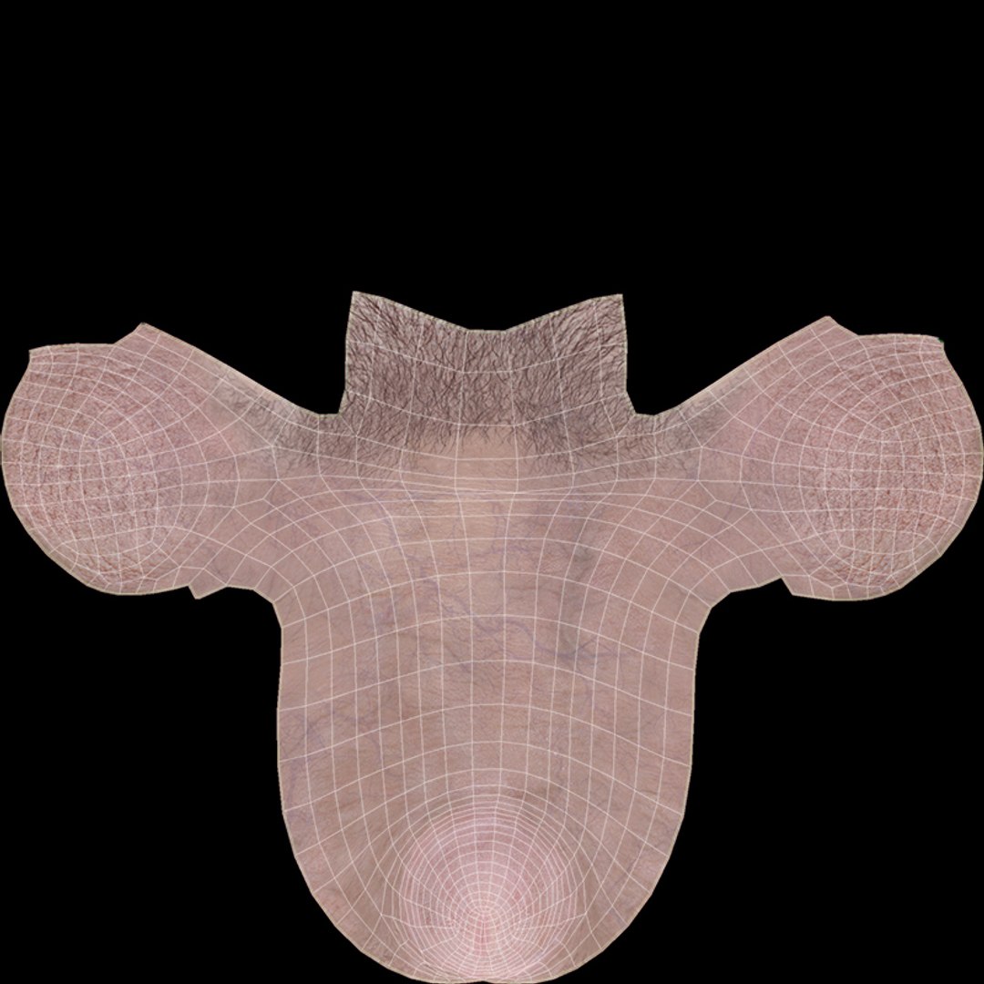 Realistic Male Penis Anatomy 3D Model TurboSquid 1446665