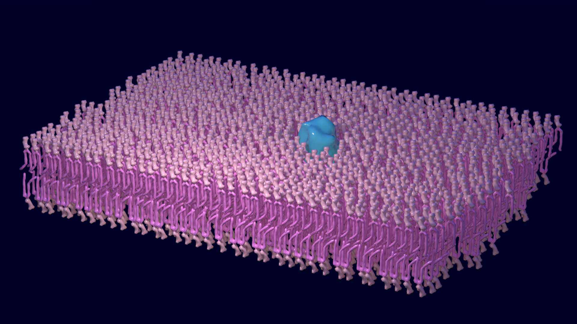 Cell Membrane D Model Turbosquid