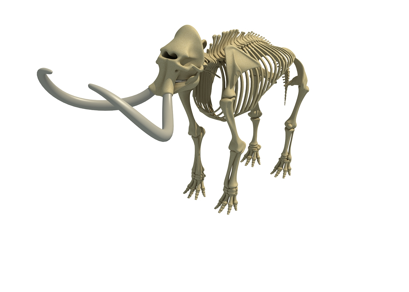 Modelo D Esqueleto De Mamut Turbosquid