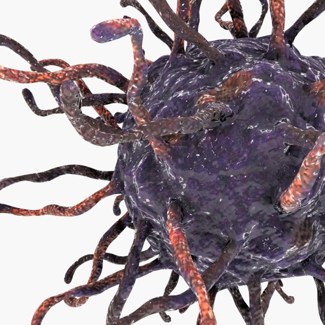 Human Coxsackie Virus 3d Model