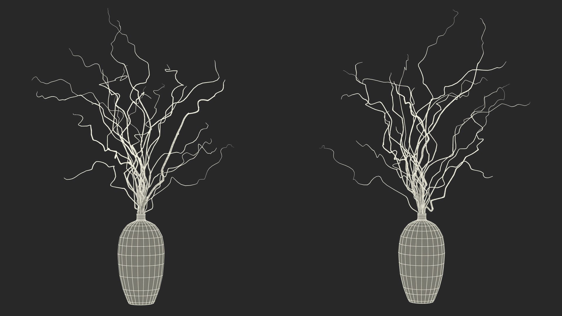 White Curly Willow Branches In Black Vase Model Turbosquid