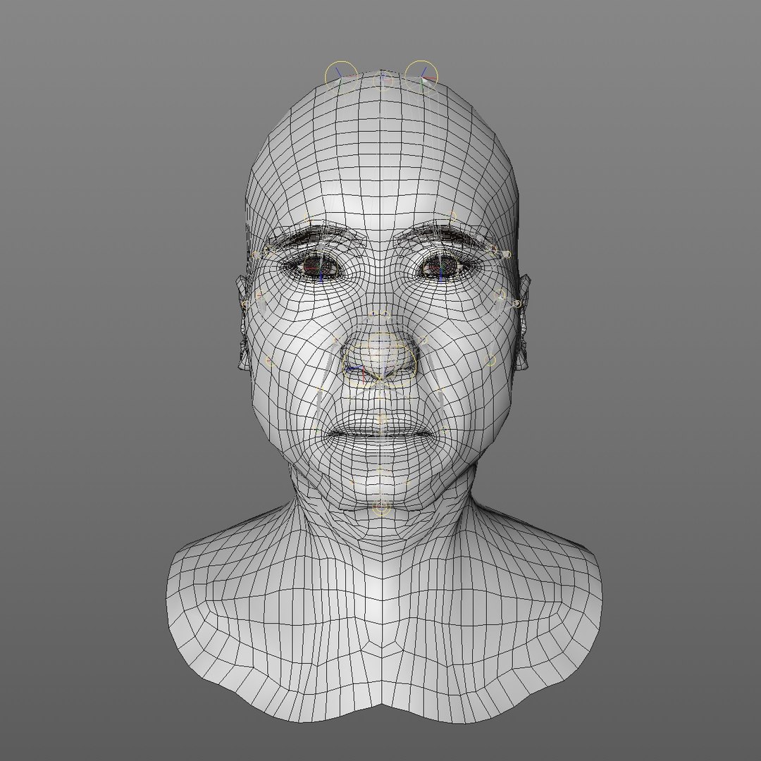 Realistic Head Base Mesh D Model Turbosquid