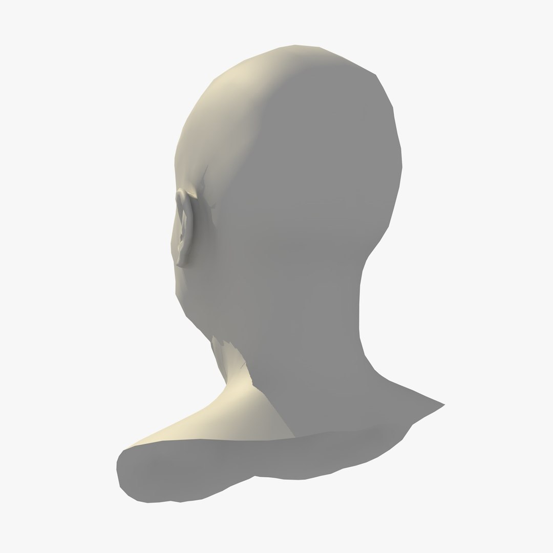 Realistic Head Base Mesh D Model Turbosquid