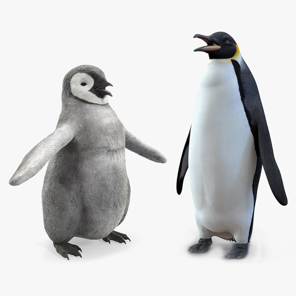 Free D Penguin Models Turbosquid