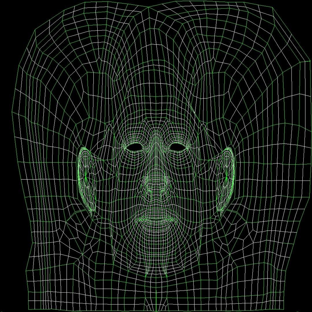 Female Bikini 3d Lwo