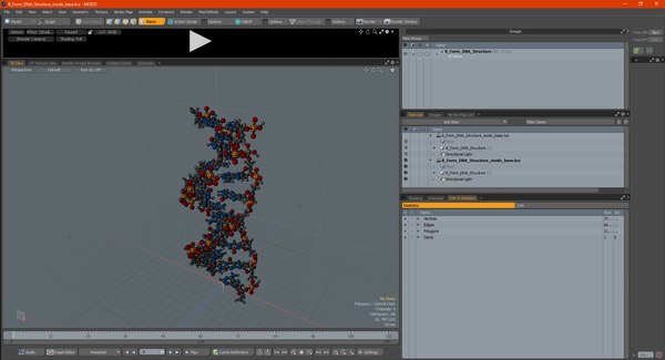 B Form Dna Structure D Turbosquid