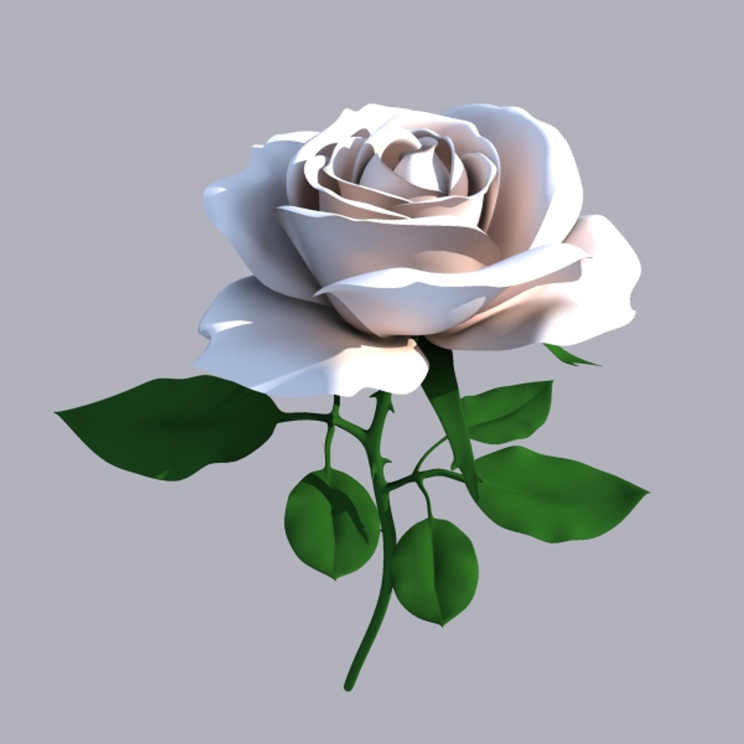 Модель розы