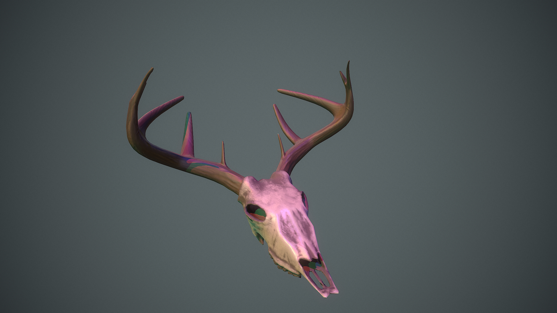 D Deer Skull Model Turbosquid