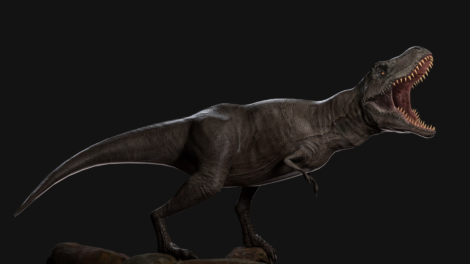 Tyrannosaurus Rex Animated Rigged D Model Turbosquid