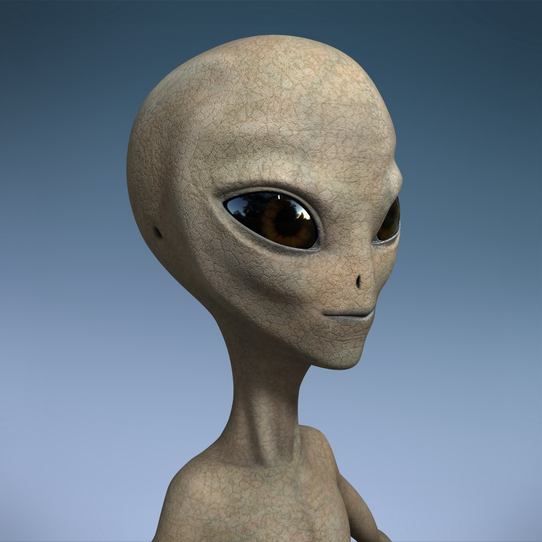 3d Grey Alien Rigged Character