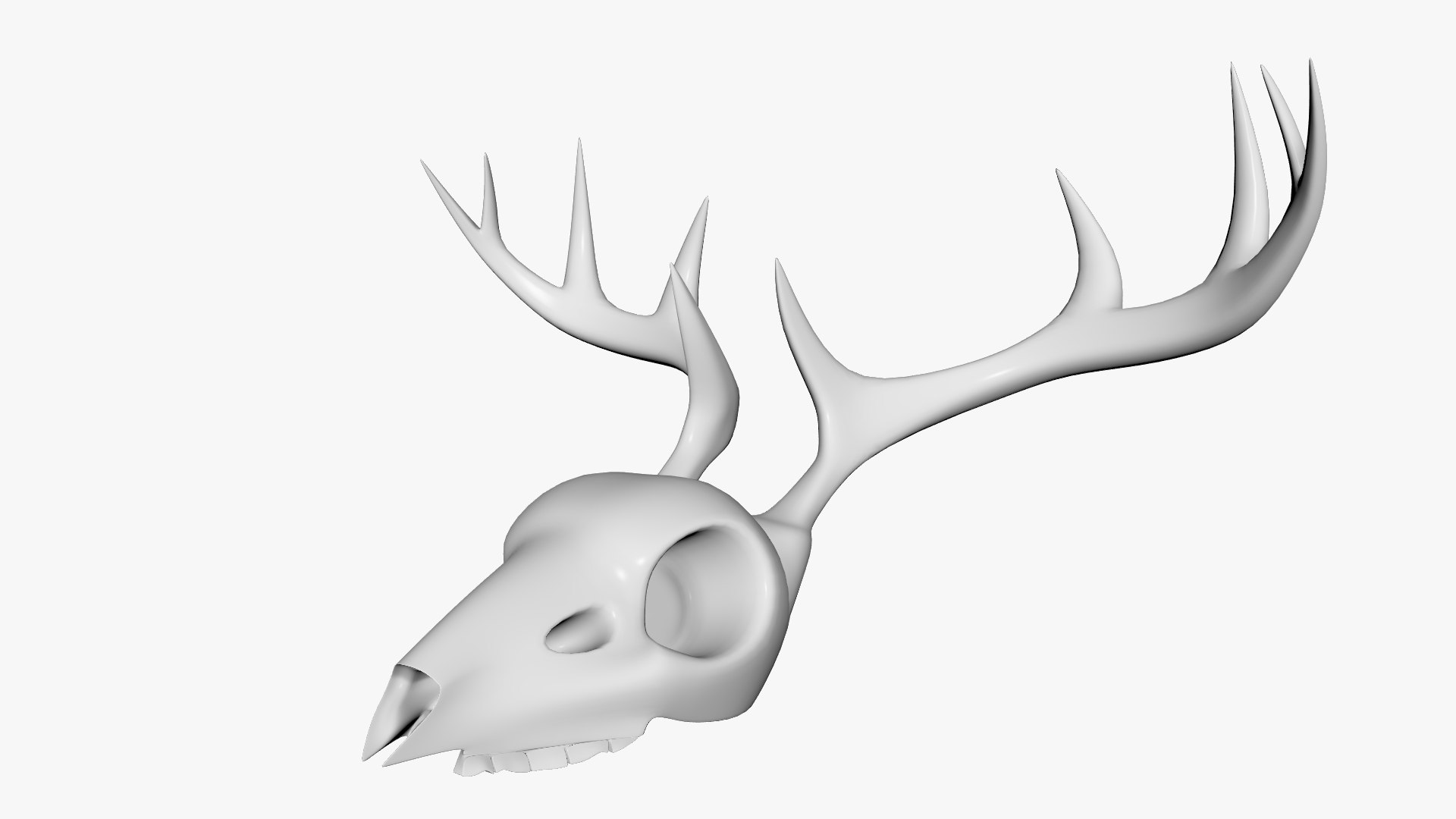 3D Deer Skull TurboSquid 2042459