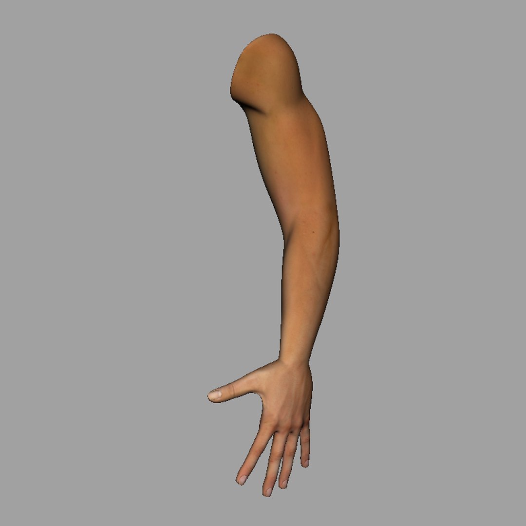 D Realistic Male Arm Model Turbosquid