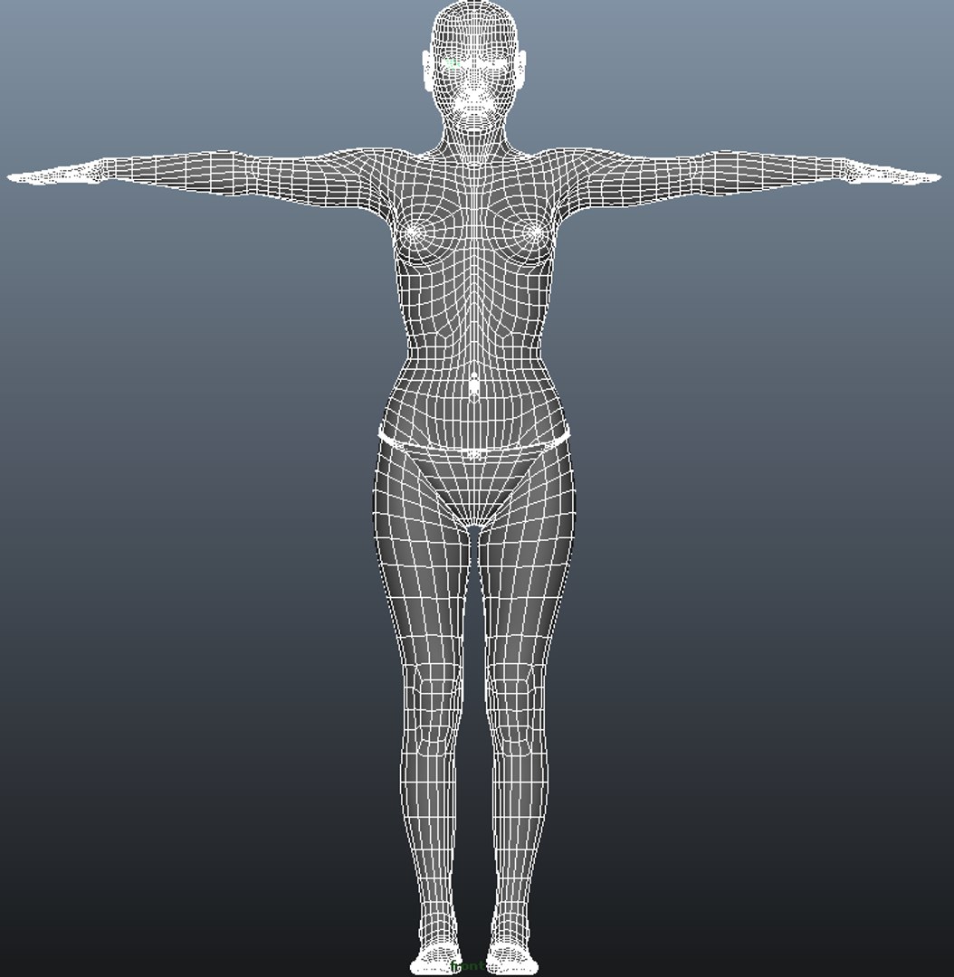 3d Nude Female Male Model