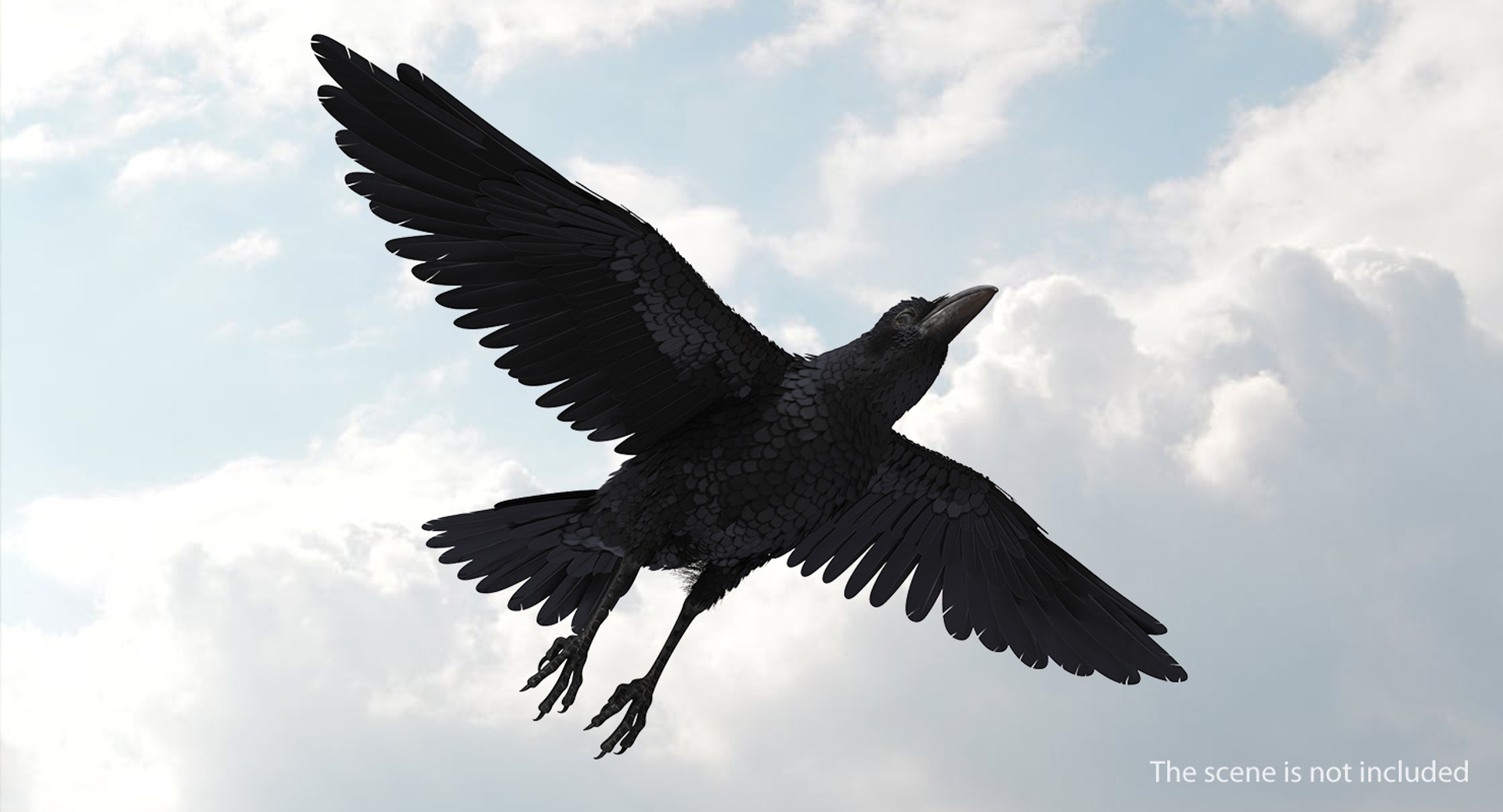 фото черного ворона в полете