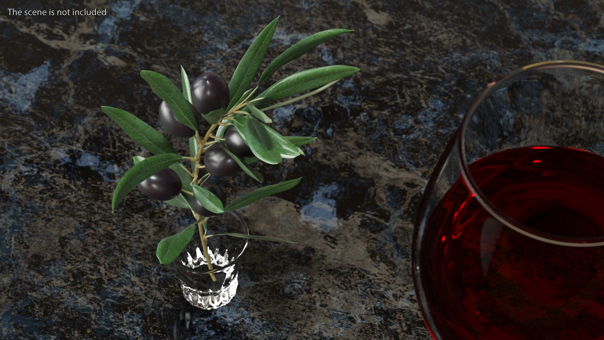 3D Model Olive Branch With Black Olives TurboSquid 1947594