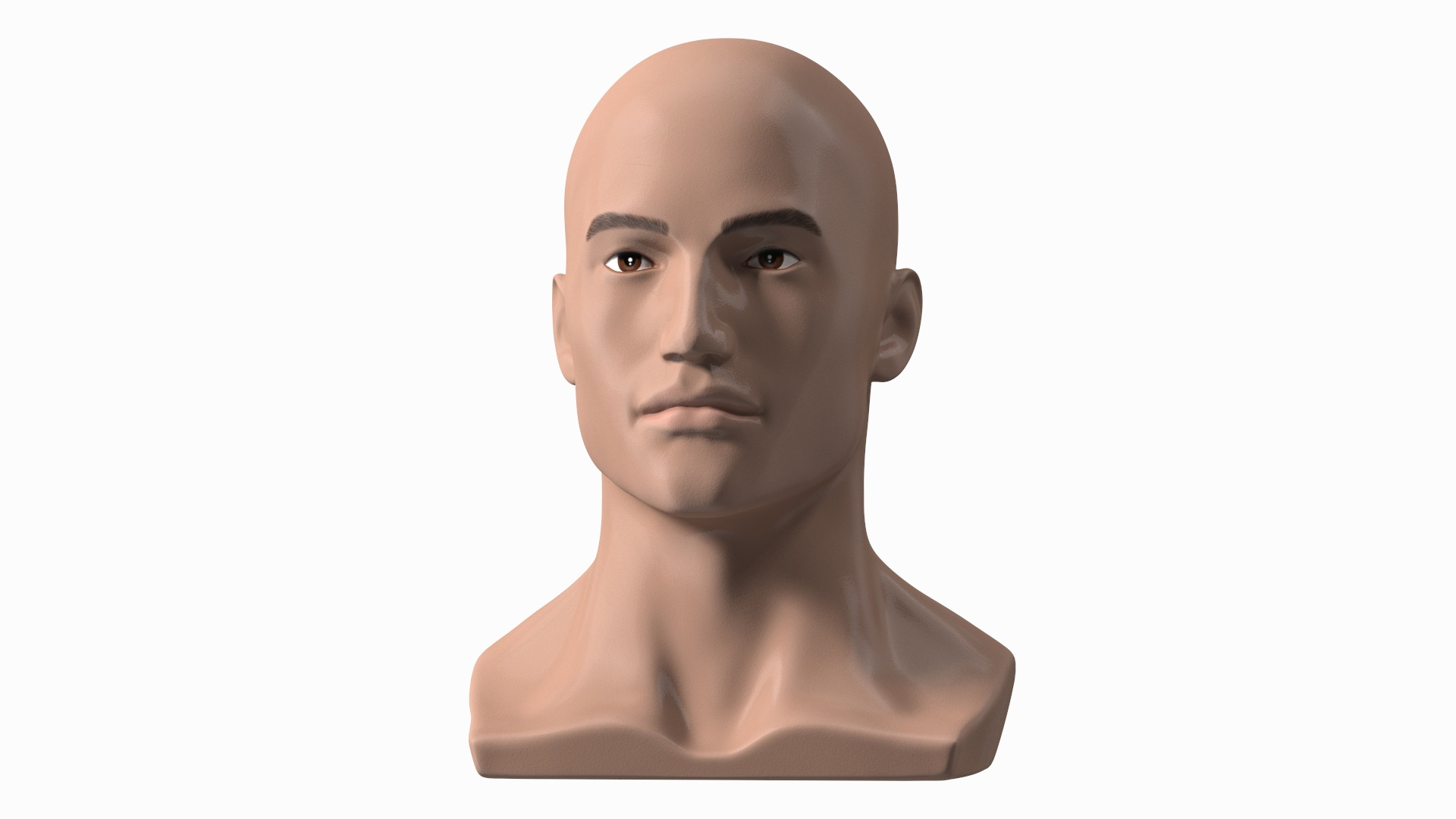D Nude Plastic Male Mannequin Head Turbosquid