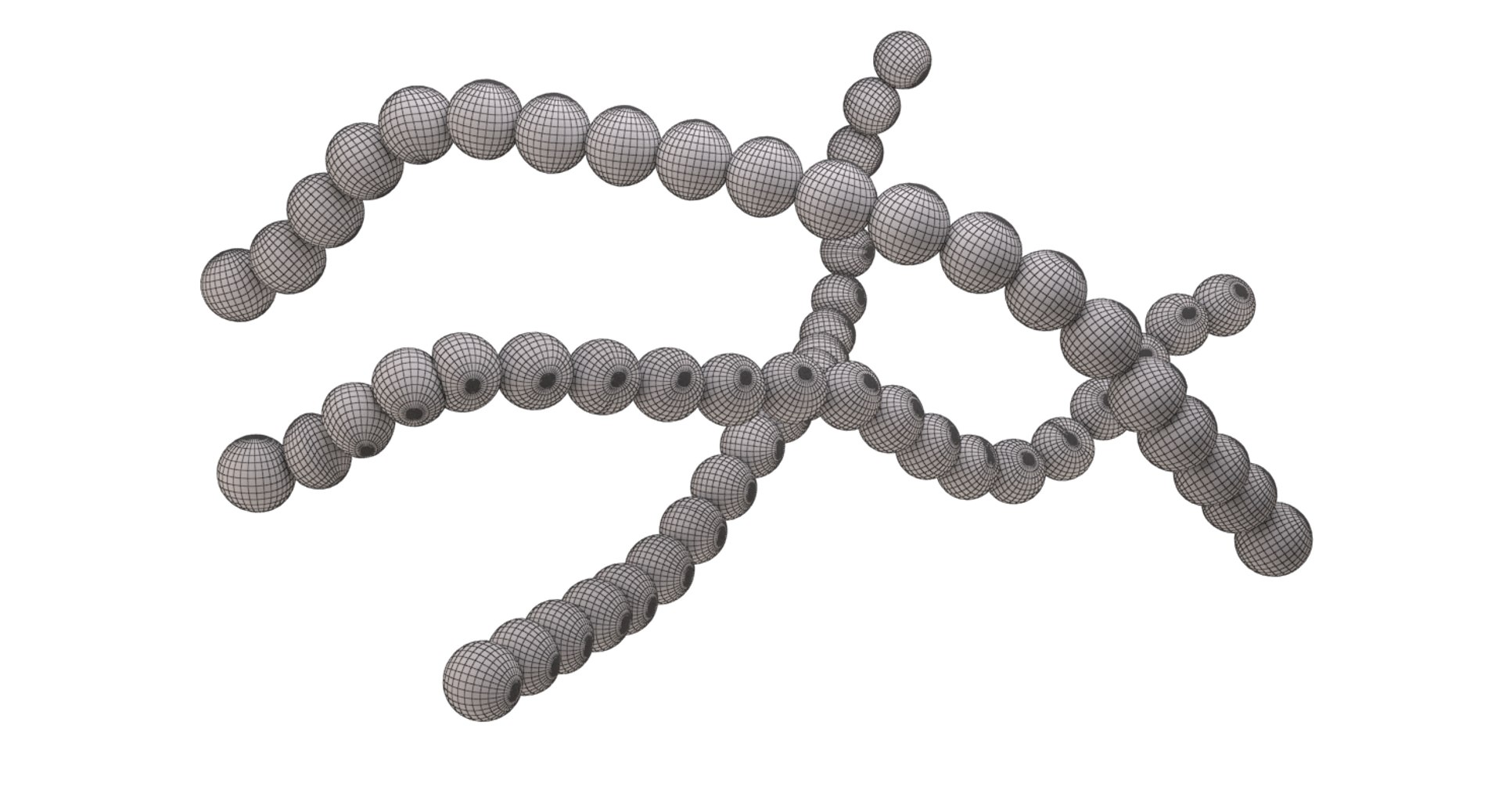 Streptococcus Pyogenes Bacteria D Model Turbosquid