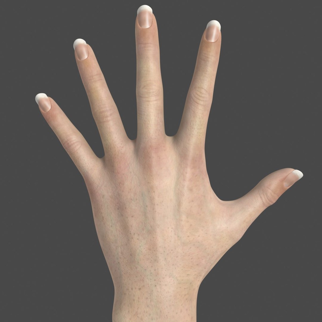 Realistic Female Hand Modeled 3d Model