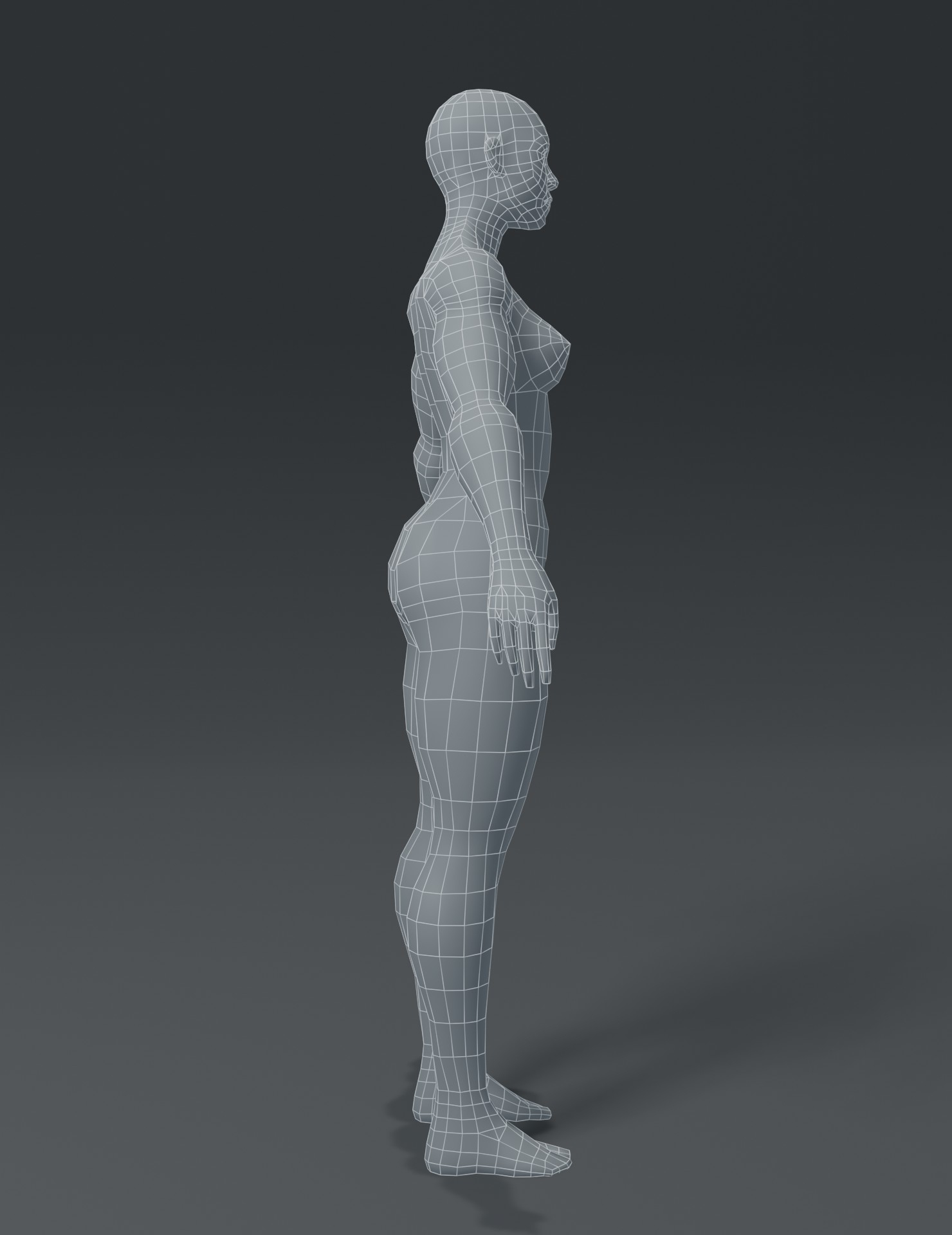 modelo 3d Superhéroe Muscular Humano Masculino Femenino Cuerpo Base