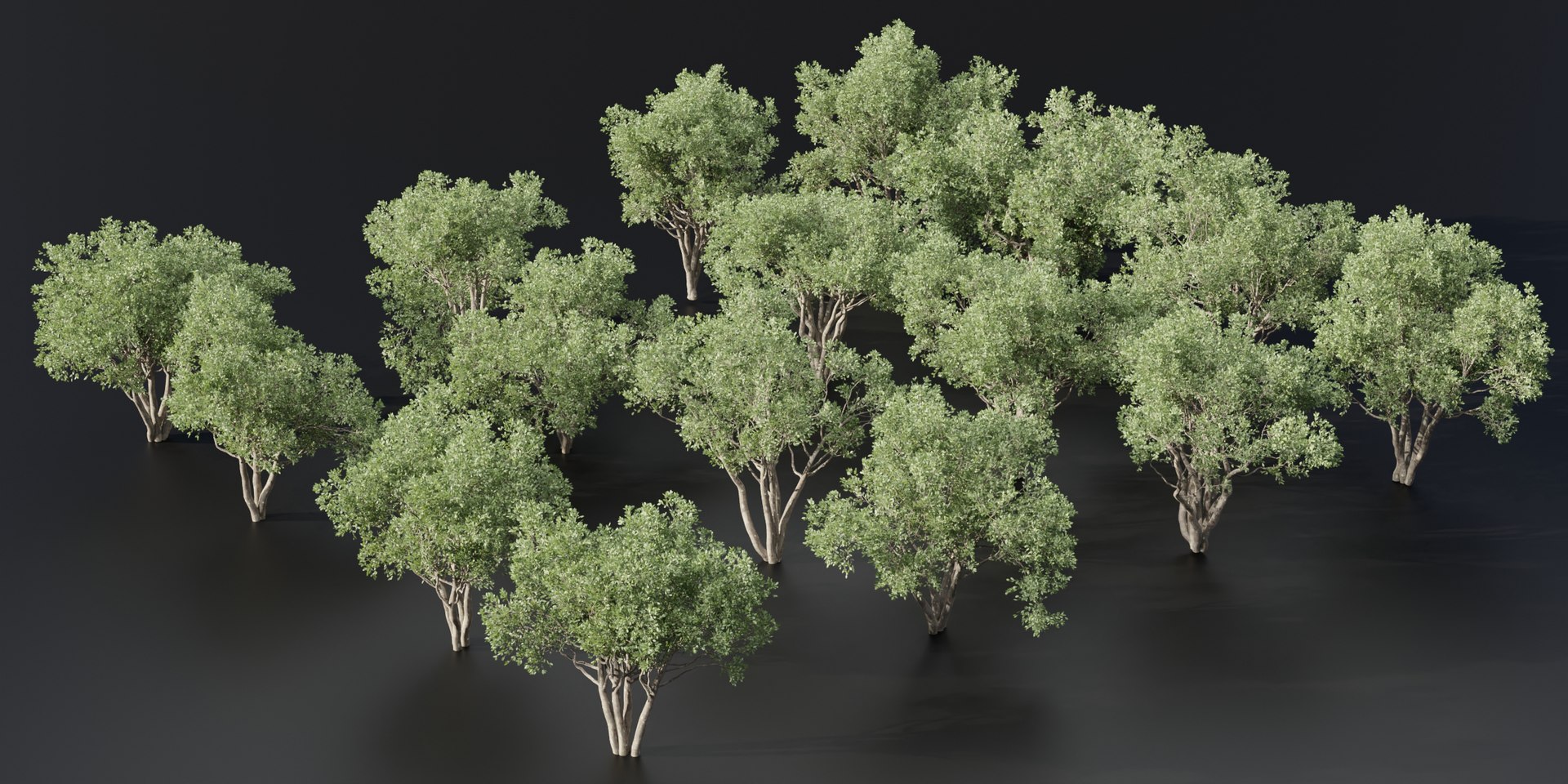 3D Model Shrubs Collection Vol 241 Blender 3dmodel TurboSquid 2214263