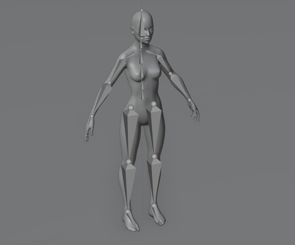 Female Body Base Mesh Animated And Rigged K Polygons D Turbosquid