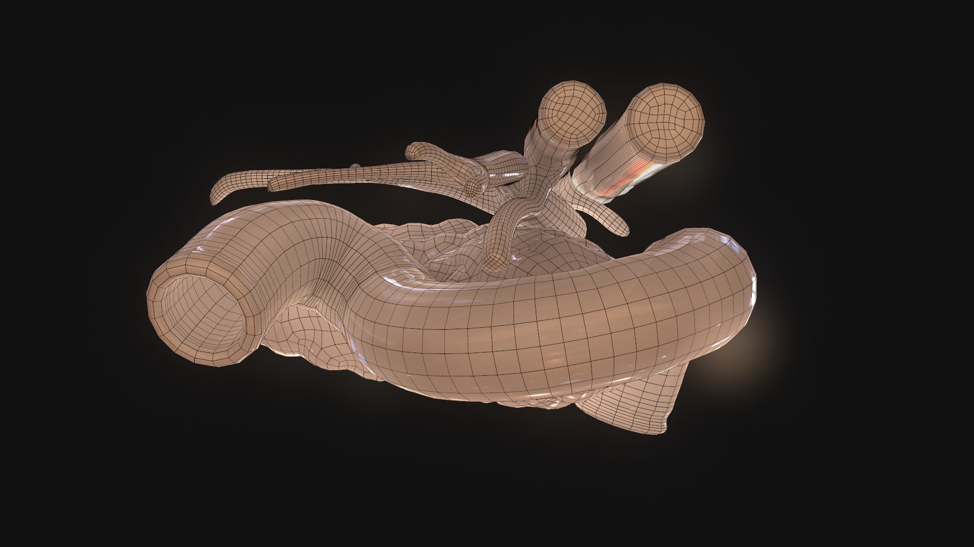 D Modeled Pancreas Human Model Turbosquid