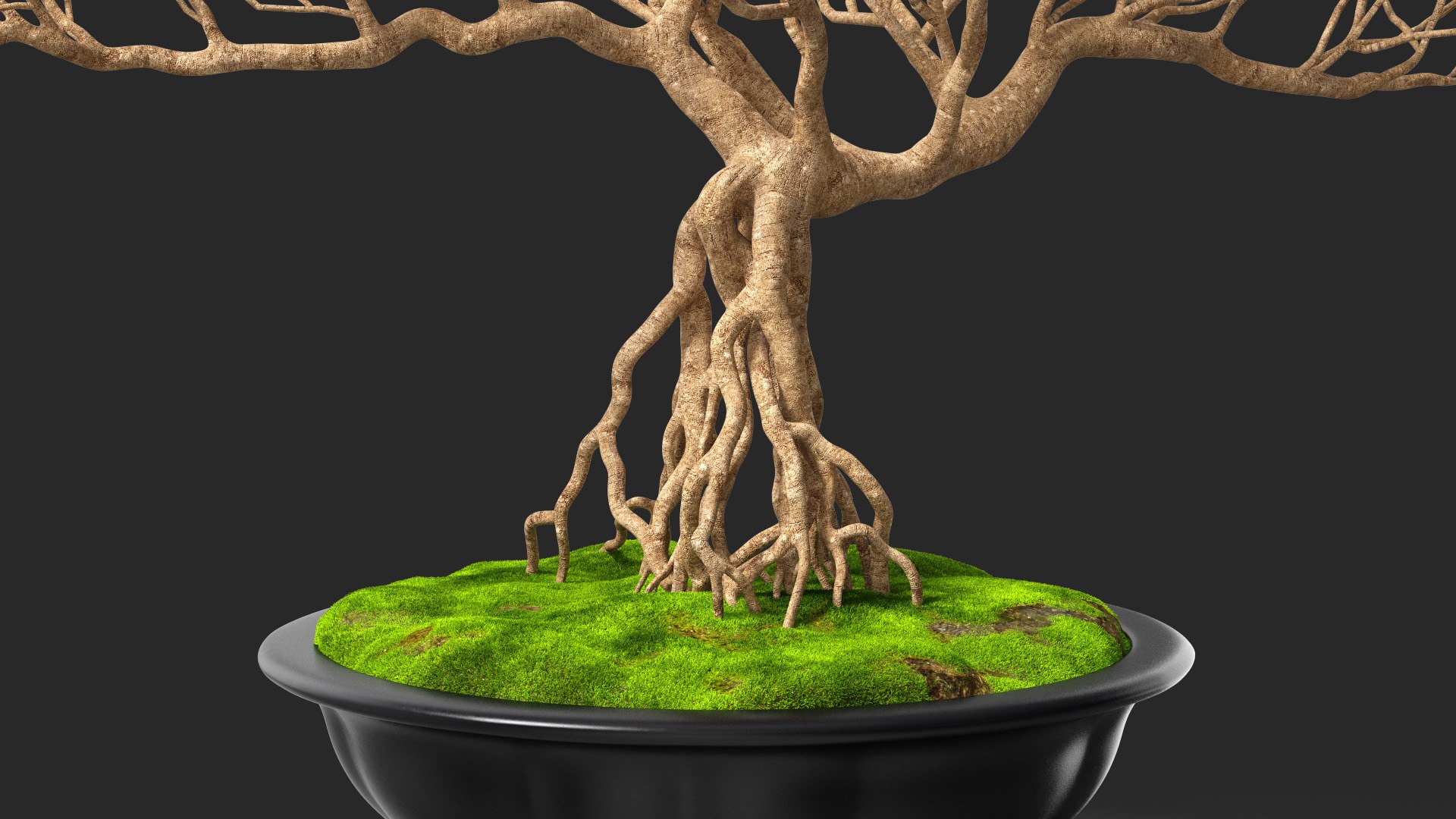 3D Bonsai Naked Tree Pot Model TurboSquid 1600491