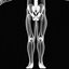 X Ray Skeleton Xray Body Human Obj