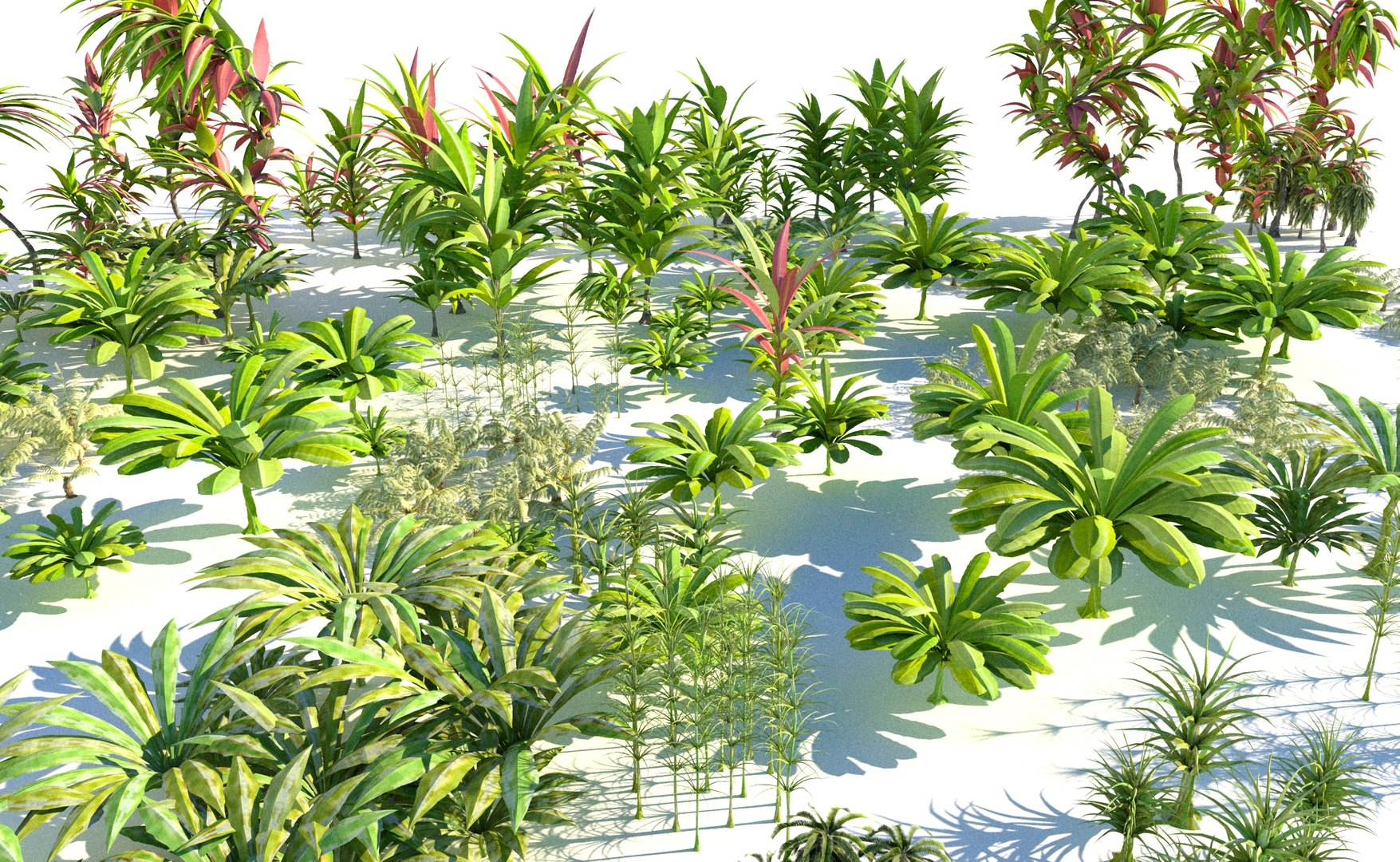 生态系统侏罗纪植物动画3d模型