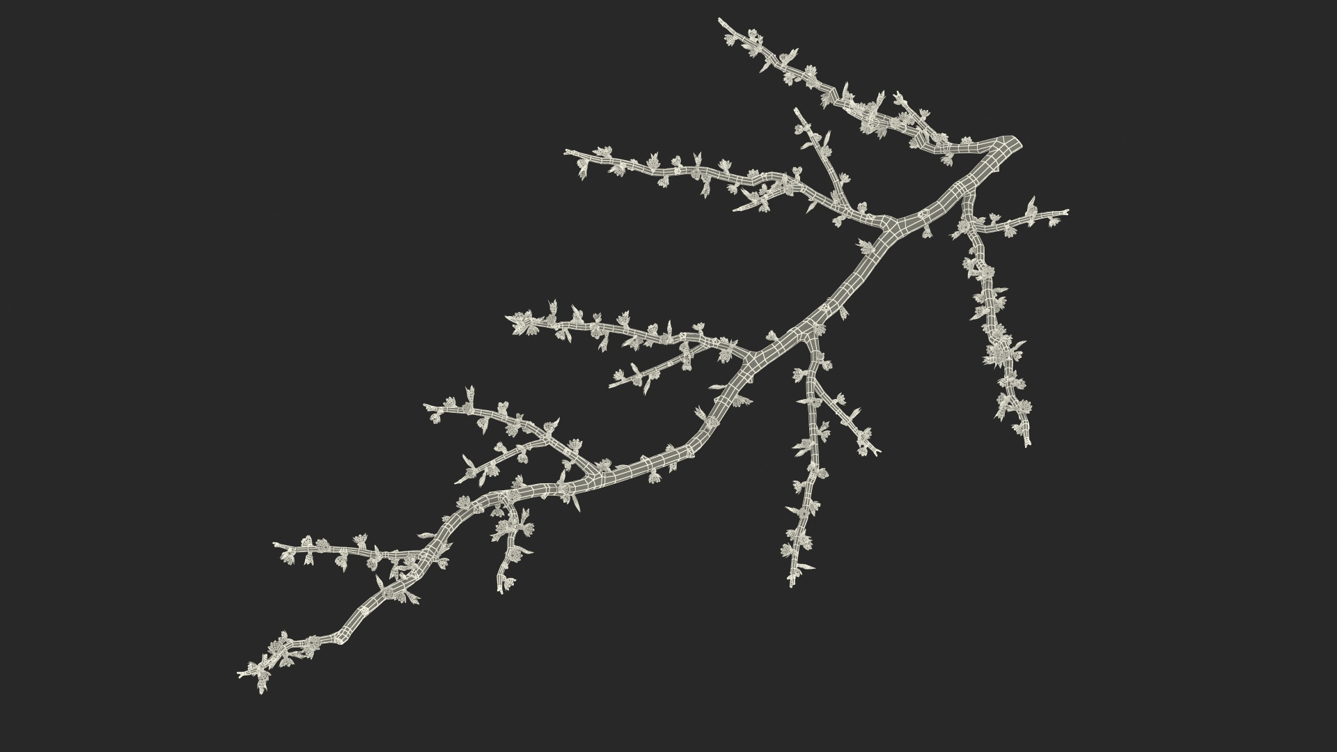 D Naked Tree Branch Model TurboSquid