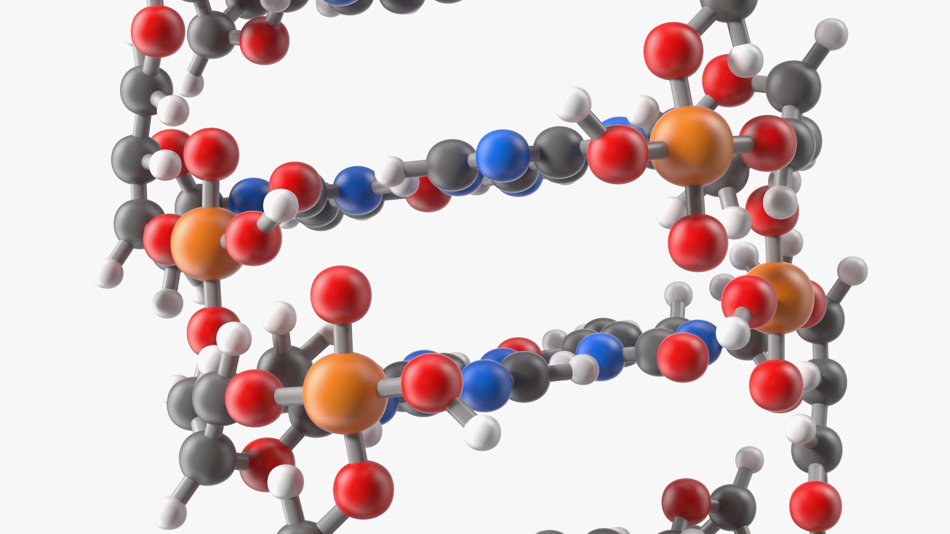 3D Z Form Deoxyribonucleic Acid Structure TurboSquid 1836547