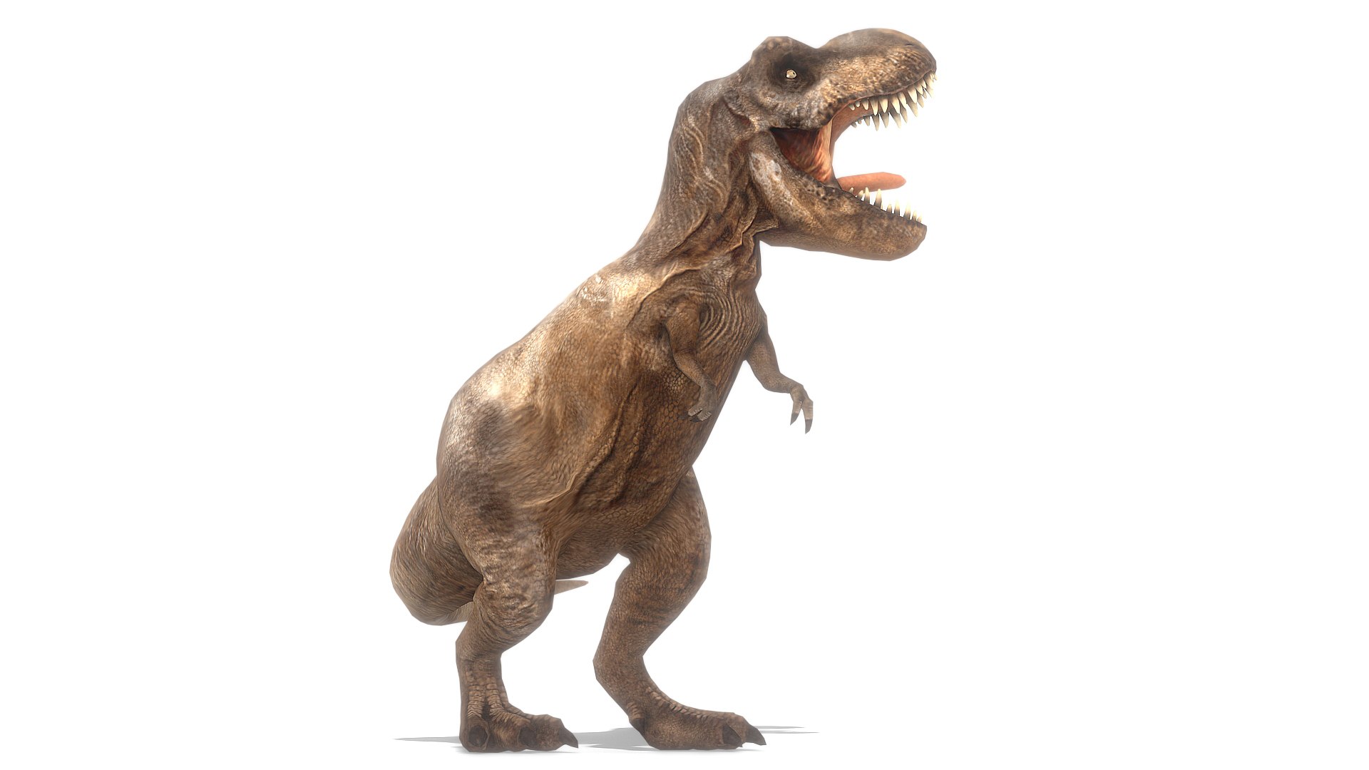 Tyrannosaurus Rex Animated Model Turbosquid