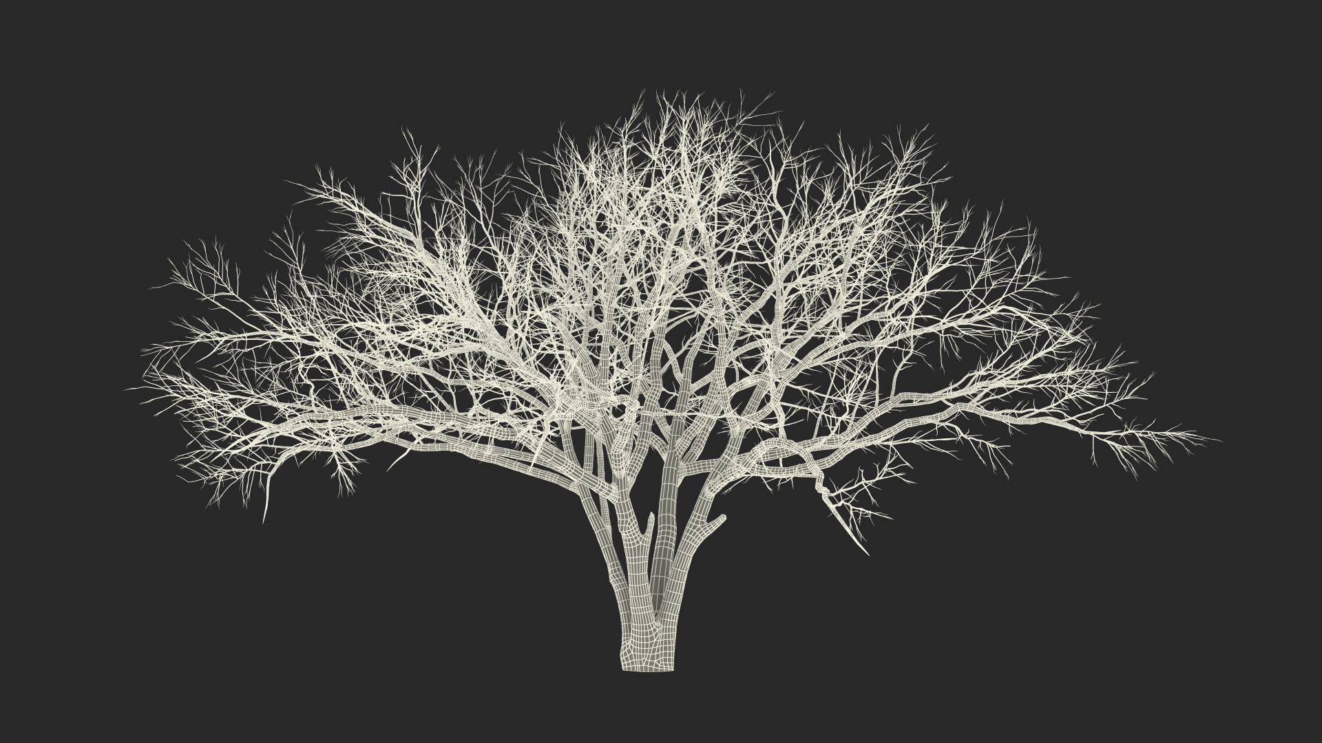 Naked Tree Winter D Model Turbosquid
