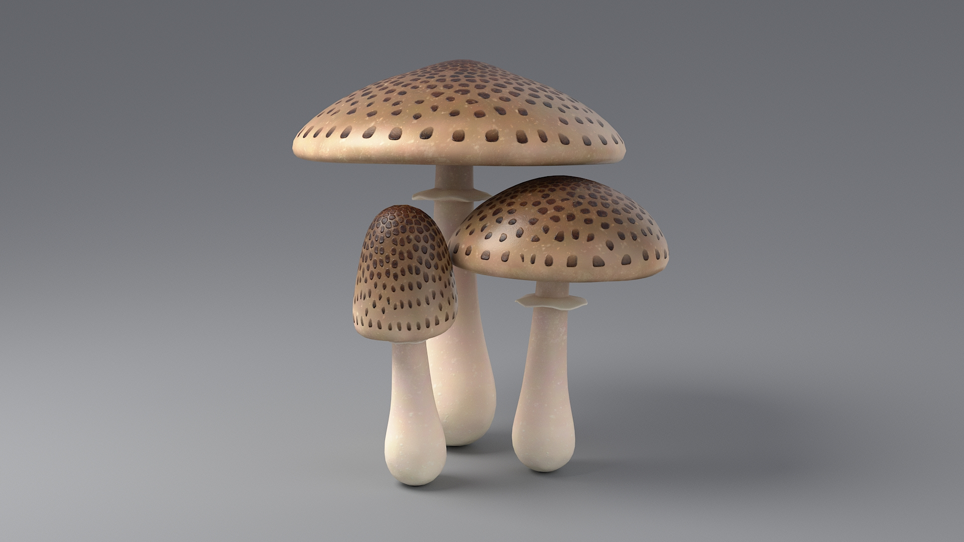 Cartoon Mushrooms 04 3D Model TurboSquid 2057064