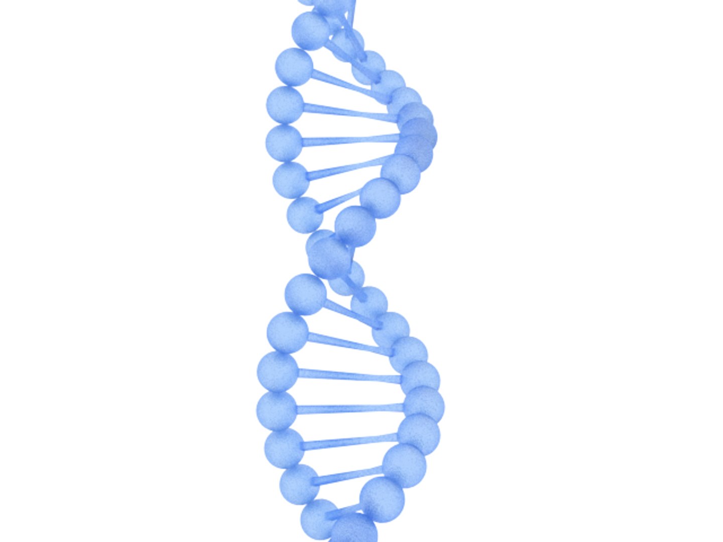 Dna Deoxyribonucleic Acid 3D Model TurboSquid 1480562