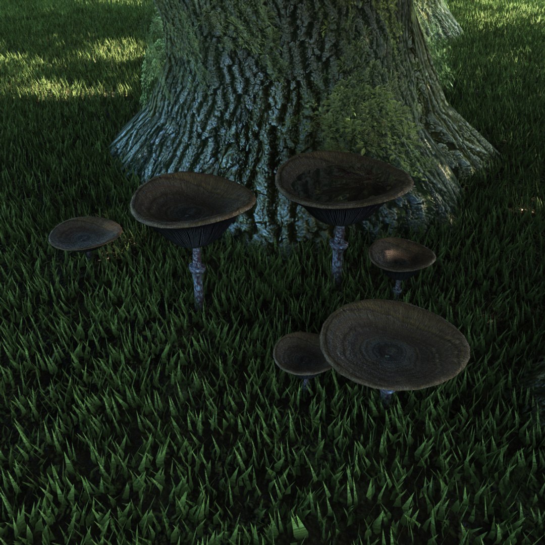 3D Mushrooms Set Fungus TurboSquid 1391178