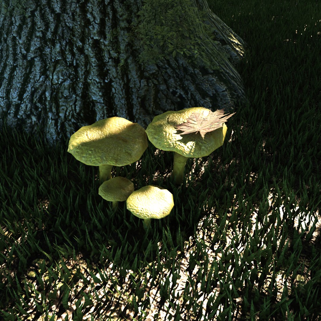 3D Mushrooms Set Fungus TurboSquid 1391178