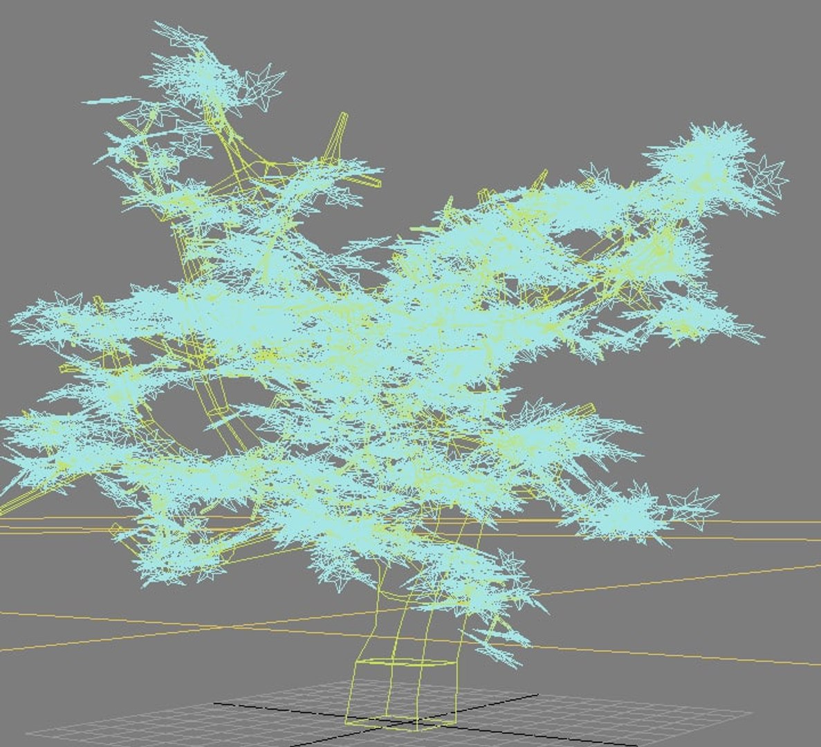 Tree Seeds Model 3d Tree Seeds