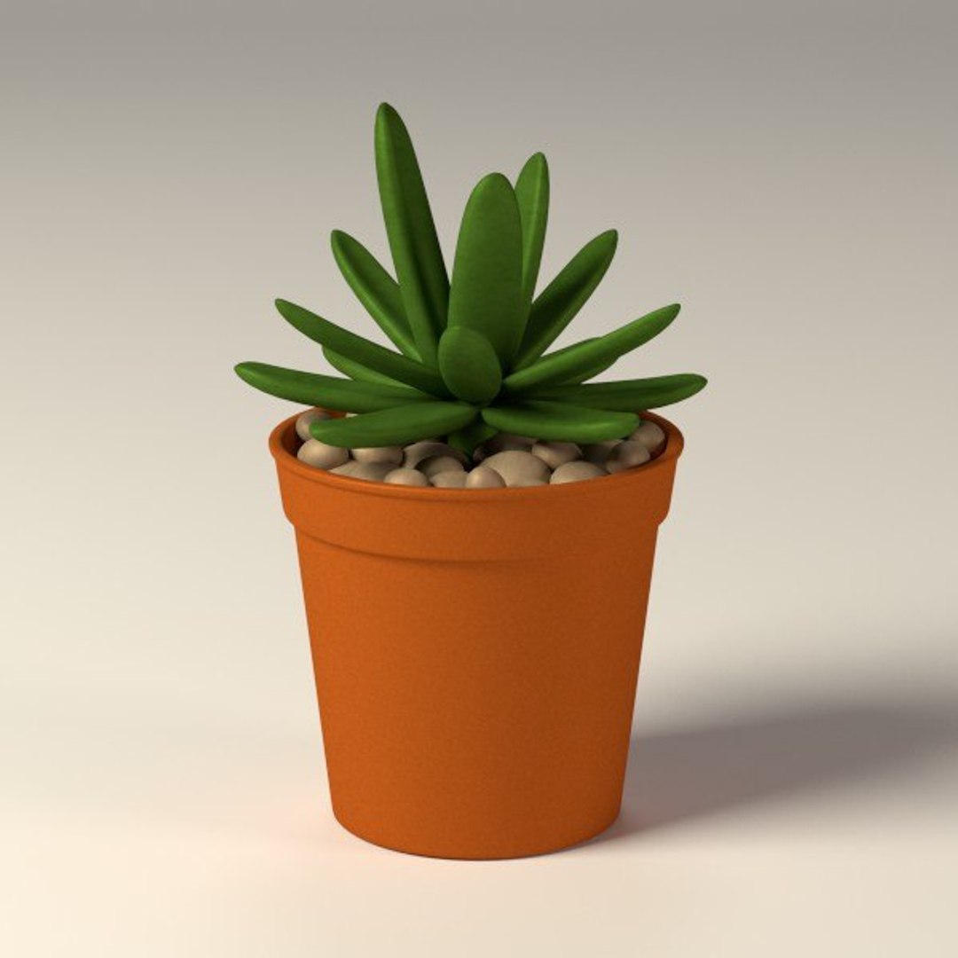 3ds max suculent pot