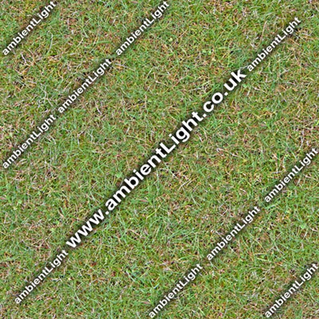  https://p.turbosquid.com/preview.turbosquid.com/Preview/2014/08/01__12_43_11/grass02thumb.jpg1ea8593d-17e8-444f-b3f0-5d0b1245f68eLarger/jpg/1121085370/1920x1080/fit_q87/6d2ed07754dfac7c458e87e150a336f25973086e/grass02thumb.jpg1ea8593d-17e8-444f-b3f0-5d0b1245f68eLarger.jpg