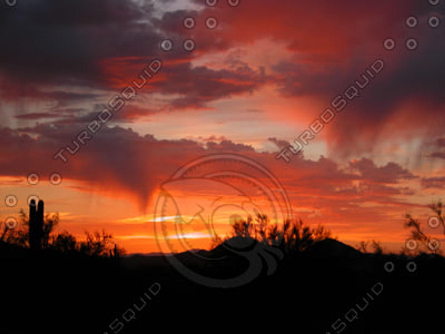 Sky A60 - TurboSquid 262923