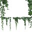 vine2