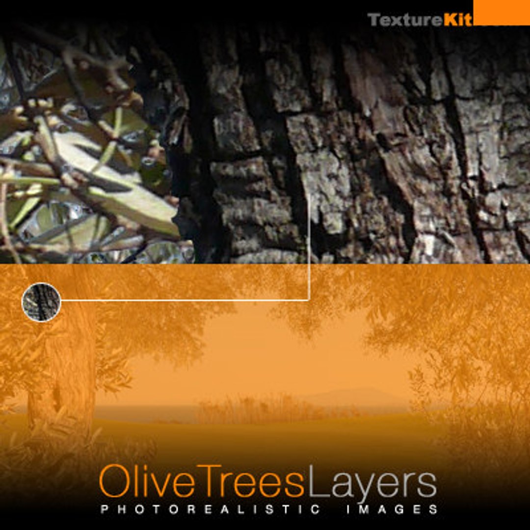 Olive Trees Branches Layers - TurboSquid 337436