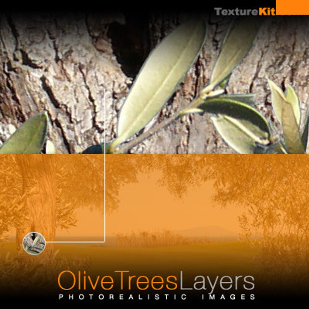 Olive Trees Branches Layers - TurboSquid 337436