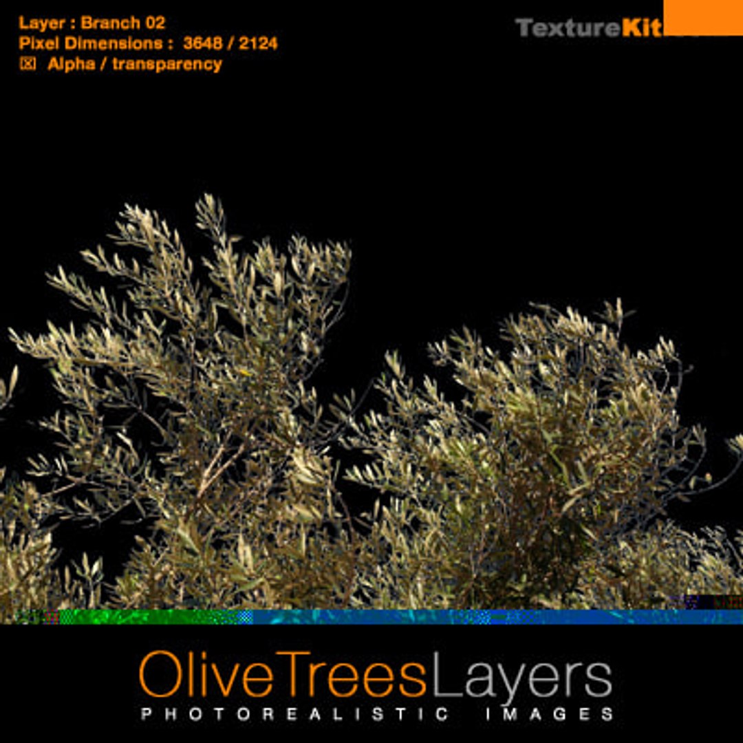 Olive Trees Branches Layers - TurboSquid 337436
