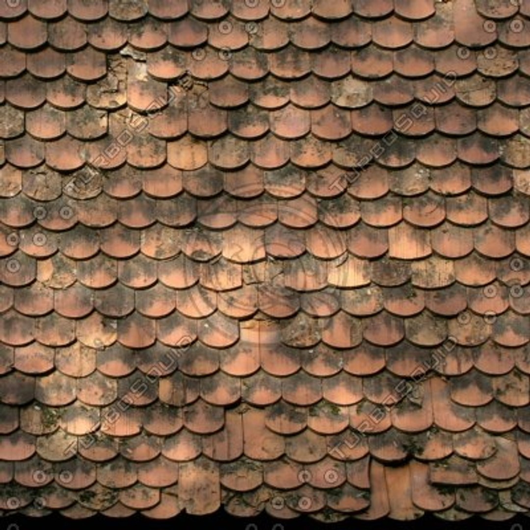 DLRUS_Roof_01_G_TH - TurboSquid 353002