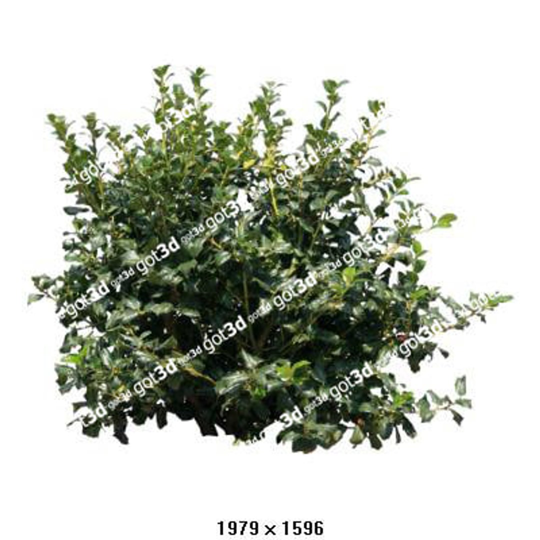 Shrub Line Texture 63 Shrub Textures - TurboSquid 386463