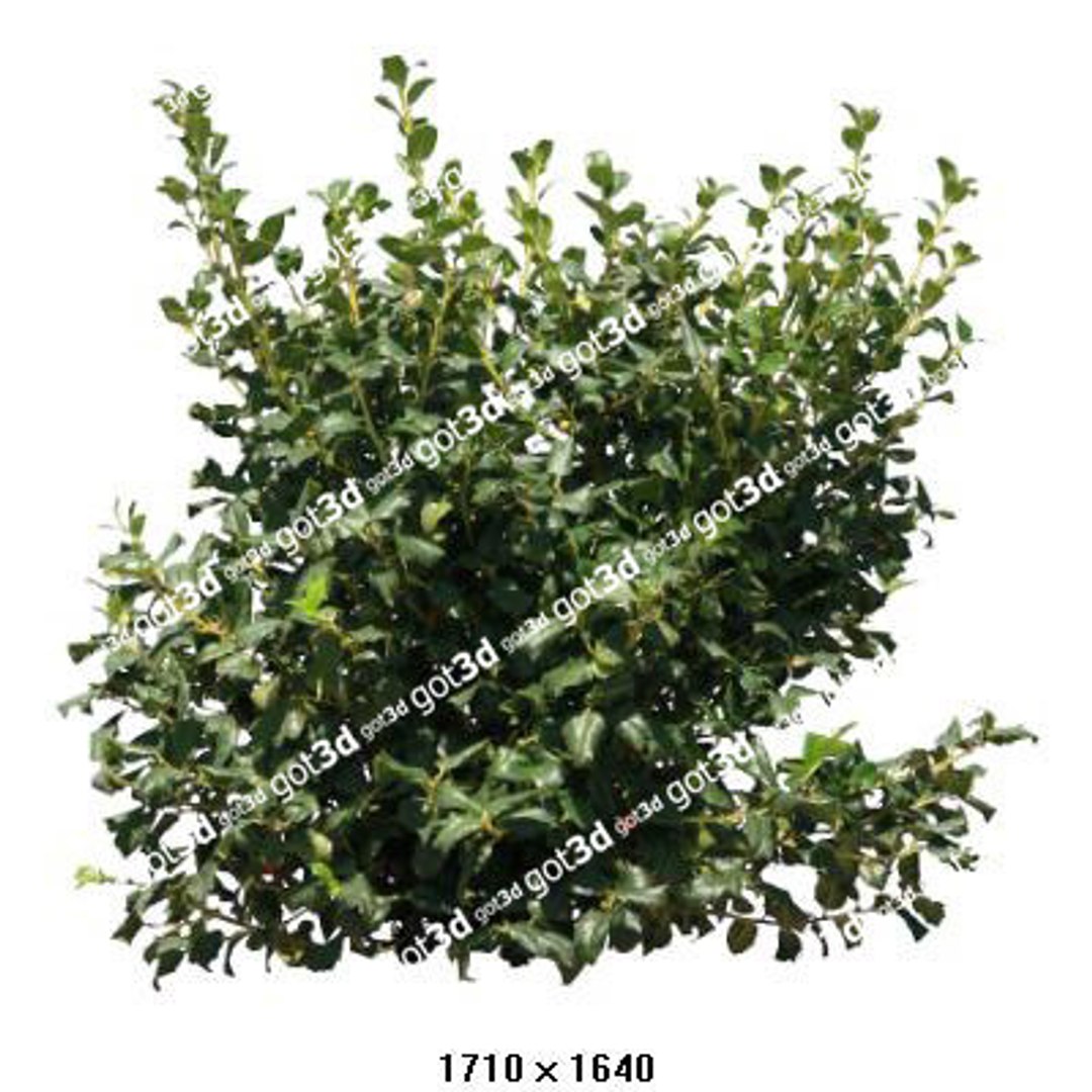 Shrub Line Texture 63 Shrub Textures - TurboSquid 386463
